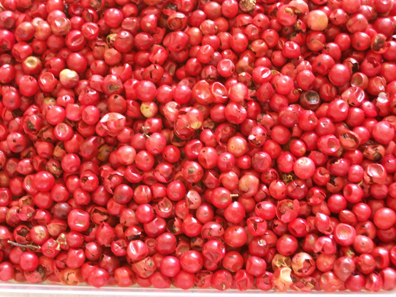 BAIES ROSES Lesepicesvaucelloises